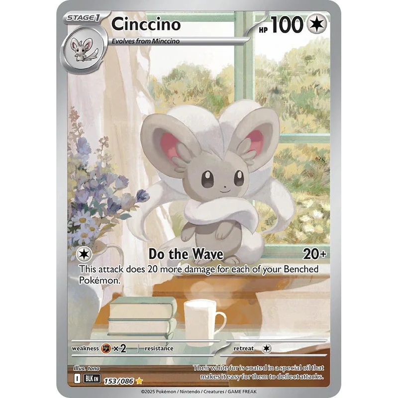 Cinccino