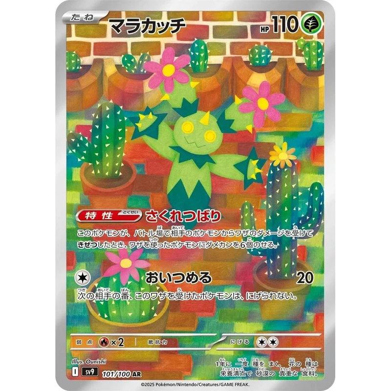 Maractus